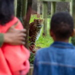 Leicestershire: Twycross Zoo Entry Ticket - What Can You Expect from Your Visit?