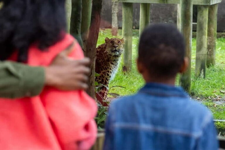 Leicestershire: Twycross Zoo Entry Ticket - What Can You Expect from Your Visit?