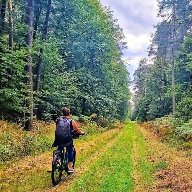 Lembach: Electric bike rental by the day - FAQs