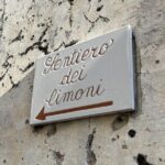 Lemon Path Tour with Tasting Session and Transfer from Positano - Value and Practical Considerations