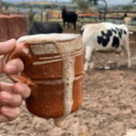 Leon: Cristero Rebellion Guided Tour with Breakfast - A Closer Look at the Experience