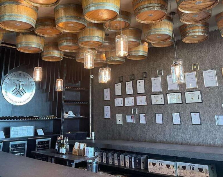 Leon: Dolores Hidalgo Viñedo Tres Raíces Wine Tour - Why This Tour Is Worth Considering