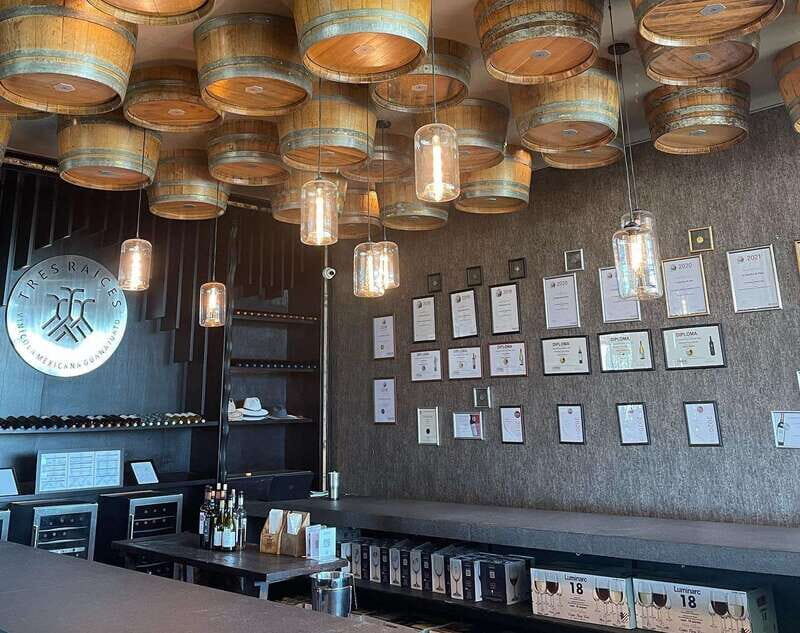 Leon: Dolores Hidalgo Viñedo Tres Raíces Wine Tour - Why This Tour Is Worth Considering