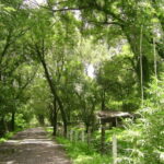 Leon: Jalpa in Its Natural State Tour with Lunch - The Pros and Cons as We See Them