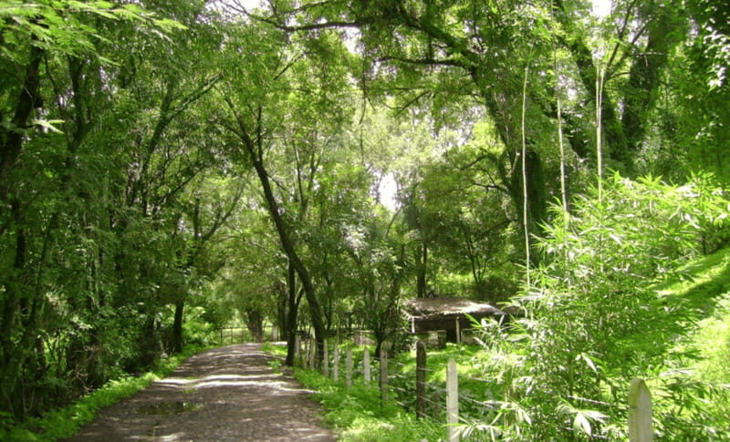 Leon: Jalpa in Its Natural State Tour with Lunch - The Pros and Cons as We See Them