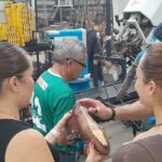 León: Leather and Footwear Industry Tour - The Itinerary Breakdown