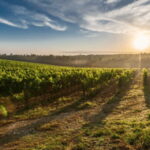 Leon: Rincón Region Photographic Safari with Box Lunch - Who is this tour for?