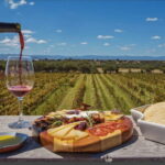 León: Wine Tasting & Vineyard Tour at Viñedo Jalpense - Is This Tour Worth It?
