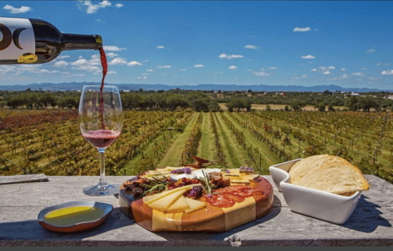 León: Wine Tasting & Vineyard Tour at Viñedo Jalpense - Is This Tour Worth It?