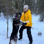 Levi: 2 km Thrilling Husky Sled Ride - What To Expect