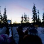 Levi: 5km Self-Driven Husky Sledge Safari - The Sum Up