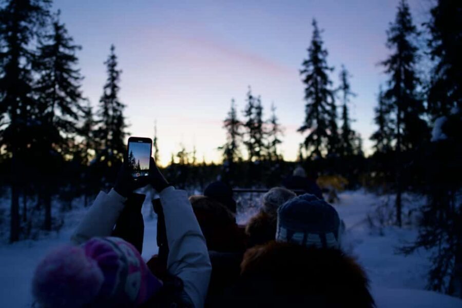 Levi: 5km Self-Driven Husky Sledge Safari - The Sum Up