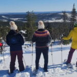 Levi: Evening Snowshoe Walk Under Northern Sky - A Detailed Look at the Snowshoeing Experience