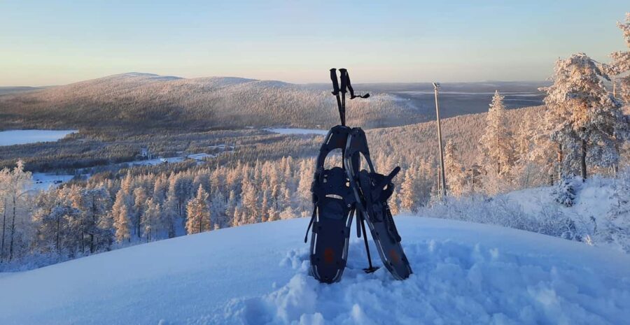 Levi: Gentle Snowshoe Walk in Winter Wilderness - What Makes This Tour Stand Out