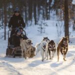 Levi: Husky Adventure Self-Drive Safari 15km - A Detailed Look at the Husky Safari
