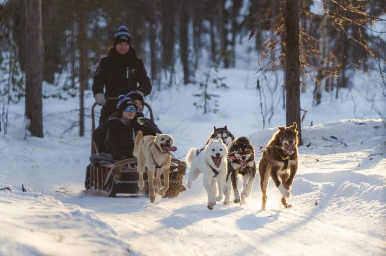 Levi: Husky Adventure Self-Drive Safari 15km - A Detailed Look at the Husky Safari