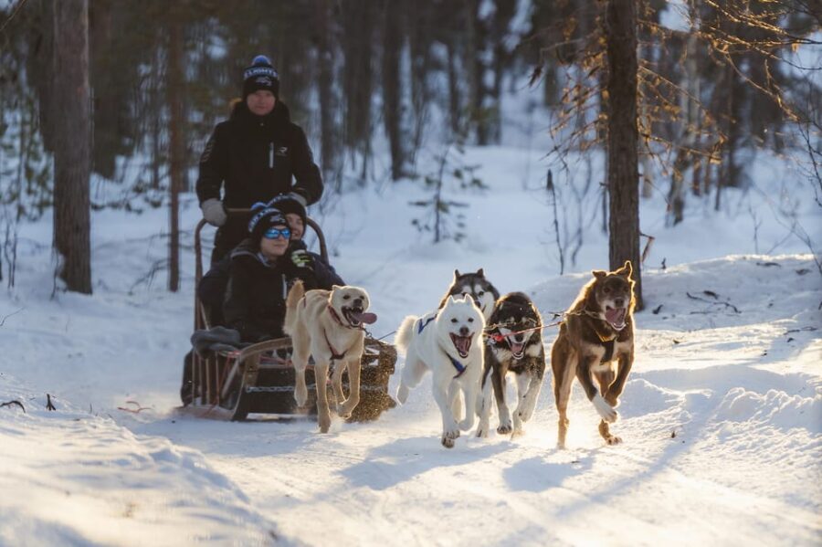 Levi: Husky Adventure Self-Drive Safari 15km - A Detailed Look at the Husky Safari
