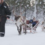 Levi: Lappish Reindeer Sled Ride 3 km - Practical Details & Value
