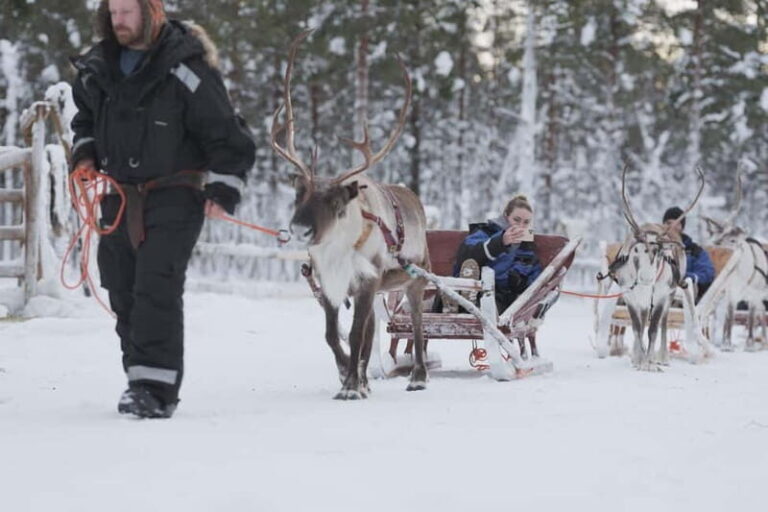 Levi: Lappish Reindeer Sled Ride 3 km - Practical Details & Value