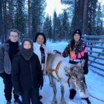 Levi: Meet Reindeer and Visit Husky Kennel - The Real Feel: What to Expect in Practice