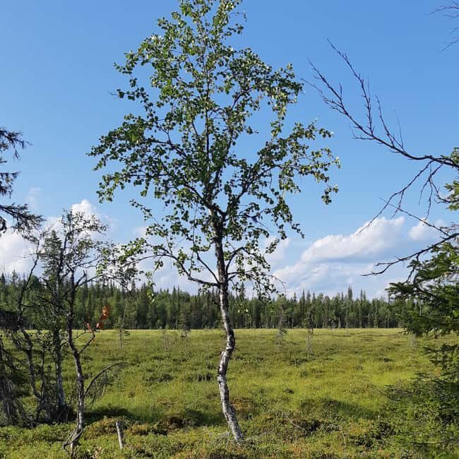 Levi: Nature Walk with Birds, Animals, and Plants - Why You Might Love This Tour