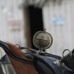 Levi: One Horse Open Sleigh Ride - An In-Depth Look at the Levi Sleigh Ride Experience