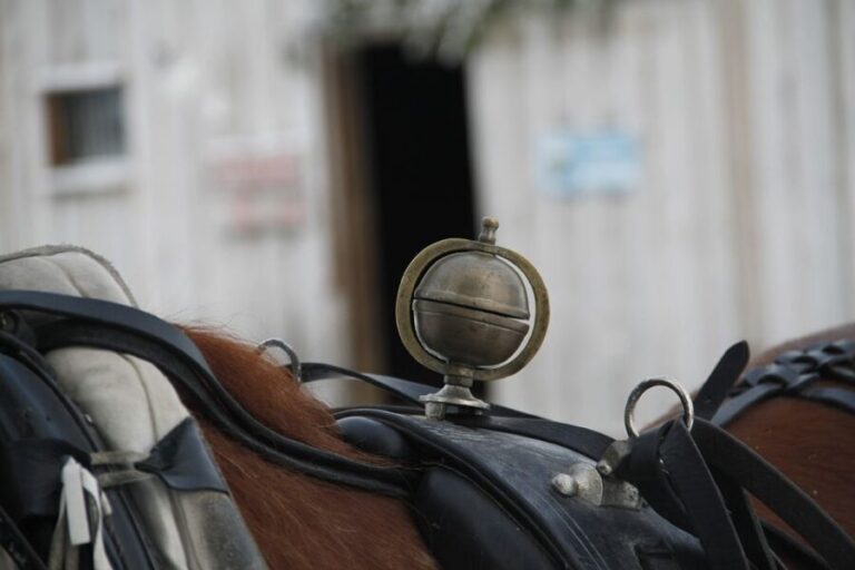 Levi: One Horse Open Sleigh Ride - An In-Depth Look at the Levi Sleigh Ride Experience