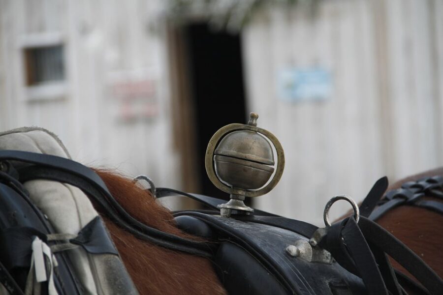 Levi: One Horse Open Sleigh Ride - An In-Depth Look at the Levi Sleigh Ride Experience
