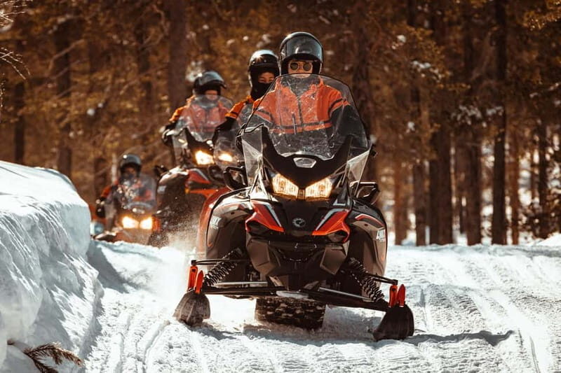 Levi: One Hour Snowmobiling Experience - Why This Tour Is a Great Choice