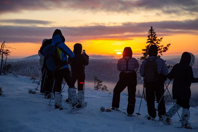 Levi: Snowshoeing adventure in the National Park - What Makes This Tour Stand Out?