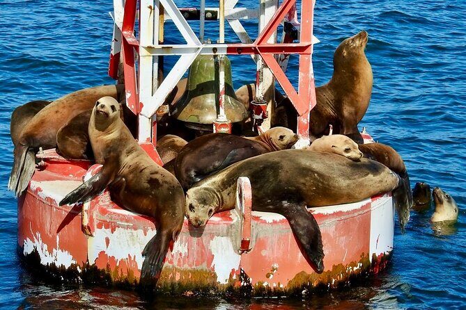 Lil Toot Santa Barbara Private Boat Tour - Itinerary and Highlights