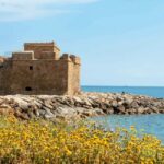 Limassol: Private Tour to Paphos - Why This Tour Works for Different Travelers