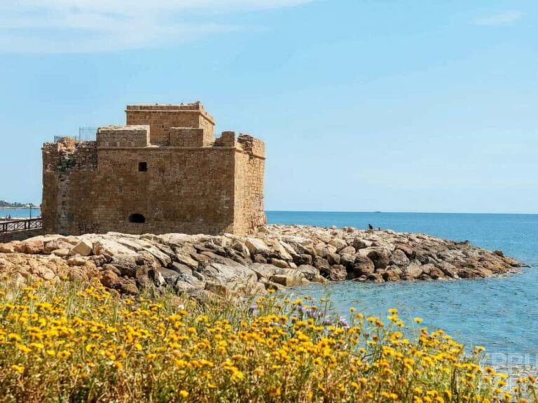 Limassol: Private Tour to Paphos - Why This Tour Works for Different Travelers