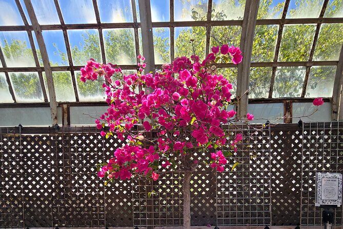 Lincoln Park Nature Museum and Zoo Public Walking Tour - Final Thoughts