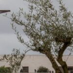 Lisboa: Fátima, Batalha, Nazaré and Óbidos Full Day Tour! - The Practicalities: What to Expect