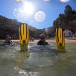 Lisboa: Snorkeling experience in Marine Reserve with photos - The Value of the Experience
