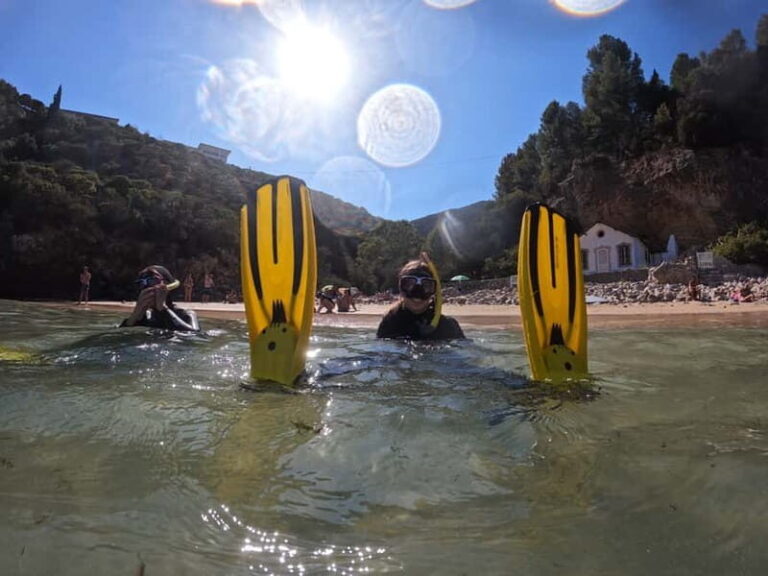 Lisboa: Snorkeling experience in Marine Reserve with photos - The Value of the Experience
