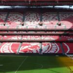 Lisbon: Benfica Luz Stadium Tour with Souvenir Scarf - Who Should Consider This Tour?