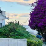 Lisbon: Historic City Tour by Tuk Tuk - The Experience and Guides