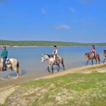 Lisbon: Horse Riding at the Beach with Lunch - What to Expect from This Horseback Riding Tour
