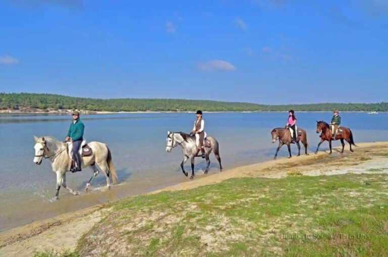 Lisbon: Horse Riding at the Beach with Lunch - What to Expect from This Horseback Riding Tour