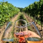 Lisbon: Setúbal, Arrábida and Azeitão Private Wine Tour - FAQ