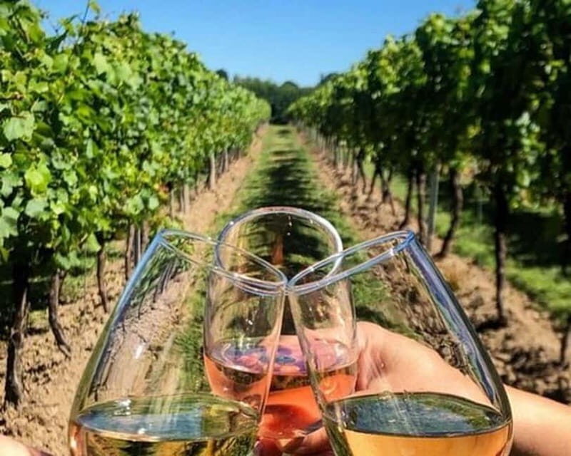 Lisbon: Setúbal, Arrábida and Azeitão Private Wine Tour - FAQ