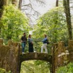 Lisbon: Sintra, Pena Palace, Cabo da Roca & Cascais - Who Will Love This Tour?