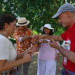 Lisbon: Small Group Half-Day City Tour & Belém Sites - Exploring Lisbon’s Belém District