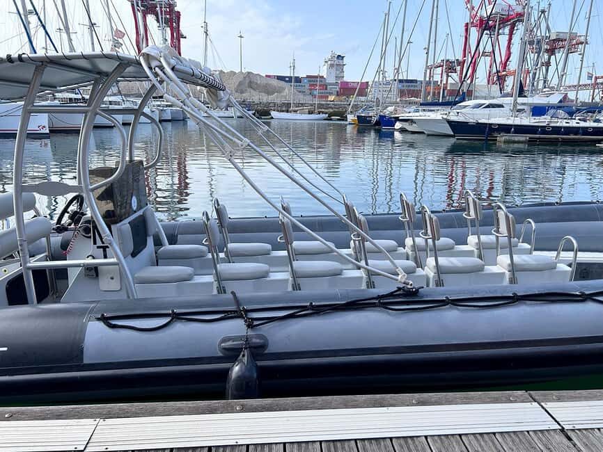 Lisbon: Tagus River Marine Wildlife Speedboating Adventure - Practical Details and What to Expect