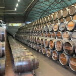 Lisbon: Tour Cristo Rei, Setúbal, Arrábida, Azeitão, Palmela - Authentic Experiences and Highlights