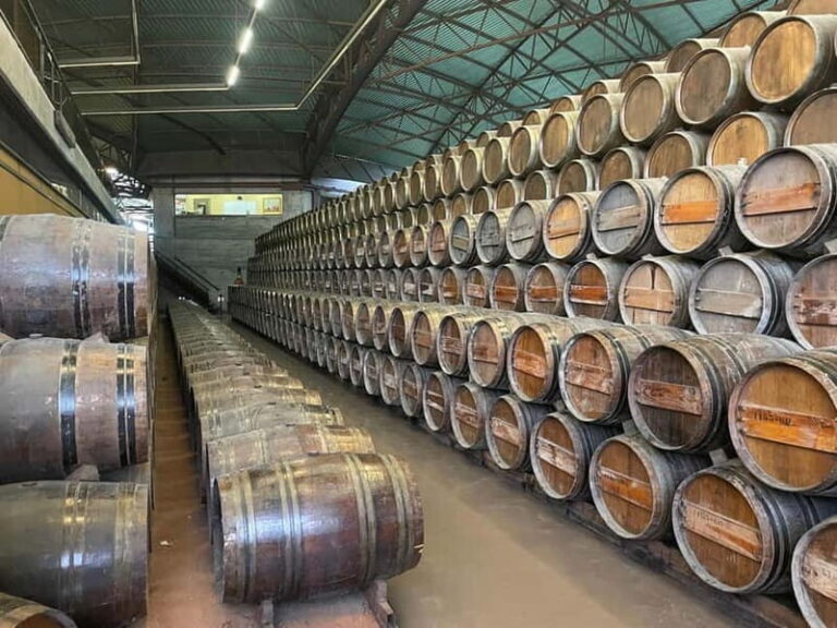 Lisbon: Tour Cristo Rei, Setúbal, Arrábida, Azeitão, Palmela - Authentic Experiences and Highlights