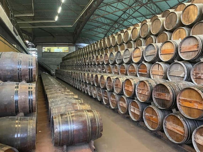 Lisbon: Tour Cristo Rei, Setúbal, Arrábida, Azeitão, Palmela - Authentic Experiences and Highlights