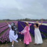 Lisse: Private Tulip Fields Tour with a Local Guide 1h Tour - What to Expect from the Tour